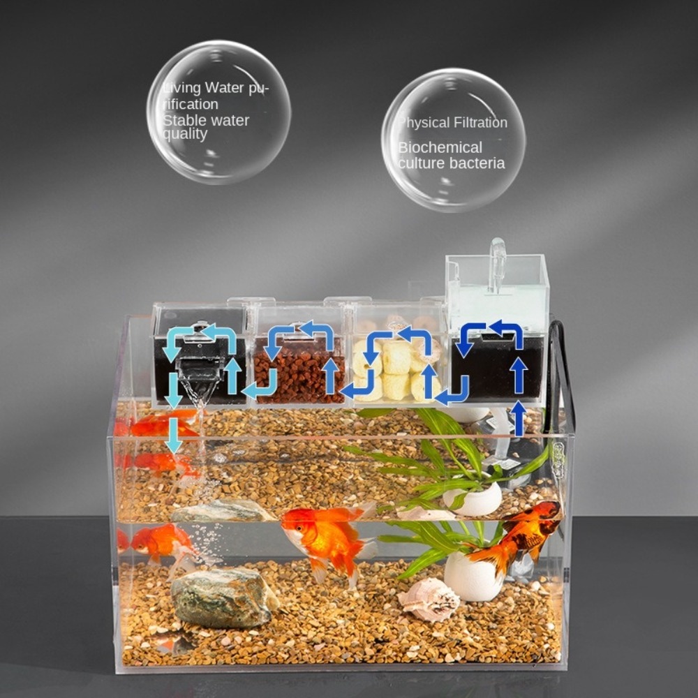 Filtro de acuario externo tres - Box Fish In Aquarium reseña y precio