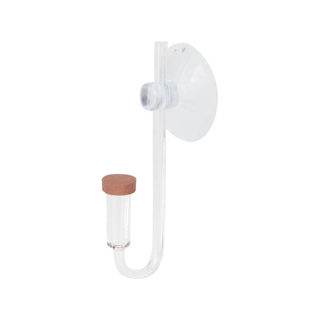 Mini pecera acrílica, planta v - Aquarium Fish Store reseña y precio