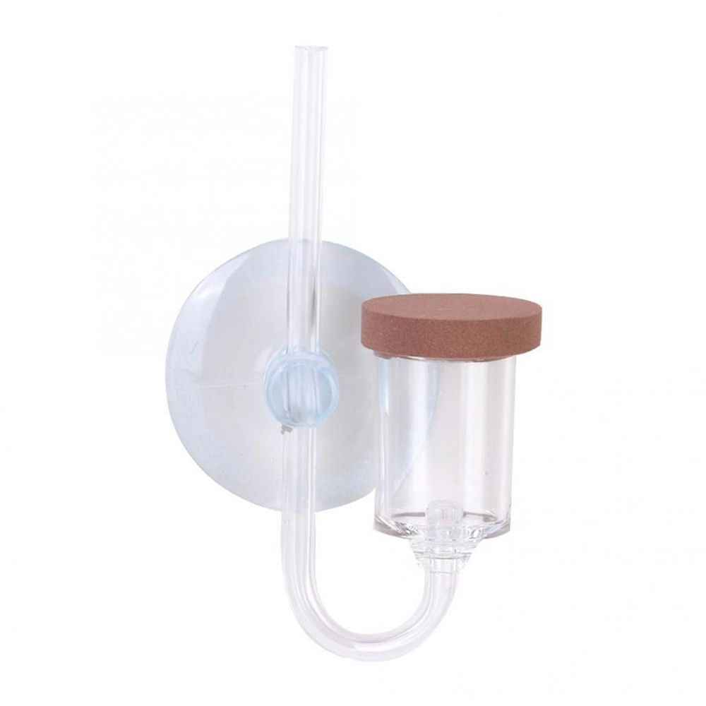 Mini pecera acrílica, planta v - Aquarium Fish Store reseña y precio