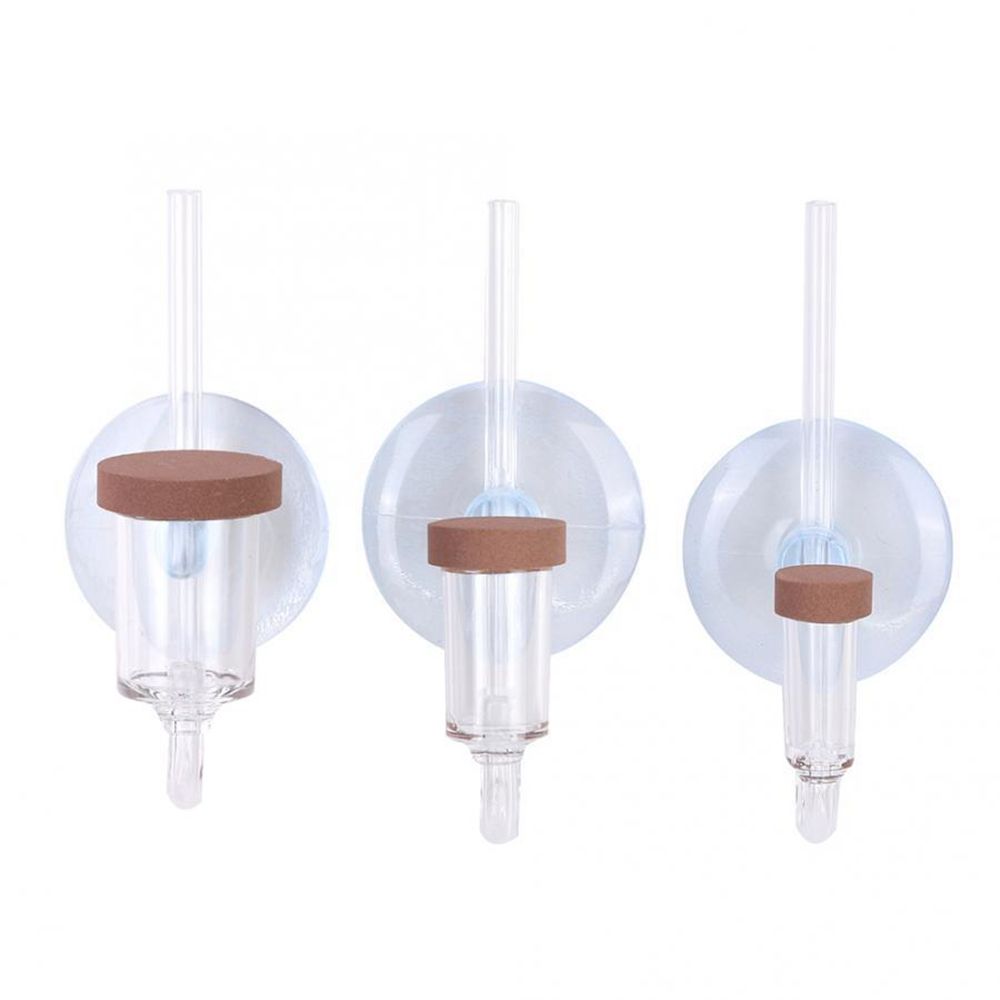 Mini pecera acrílica, planta v - Aquarium Fish Store reseña y precio