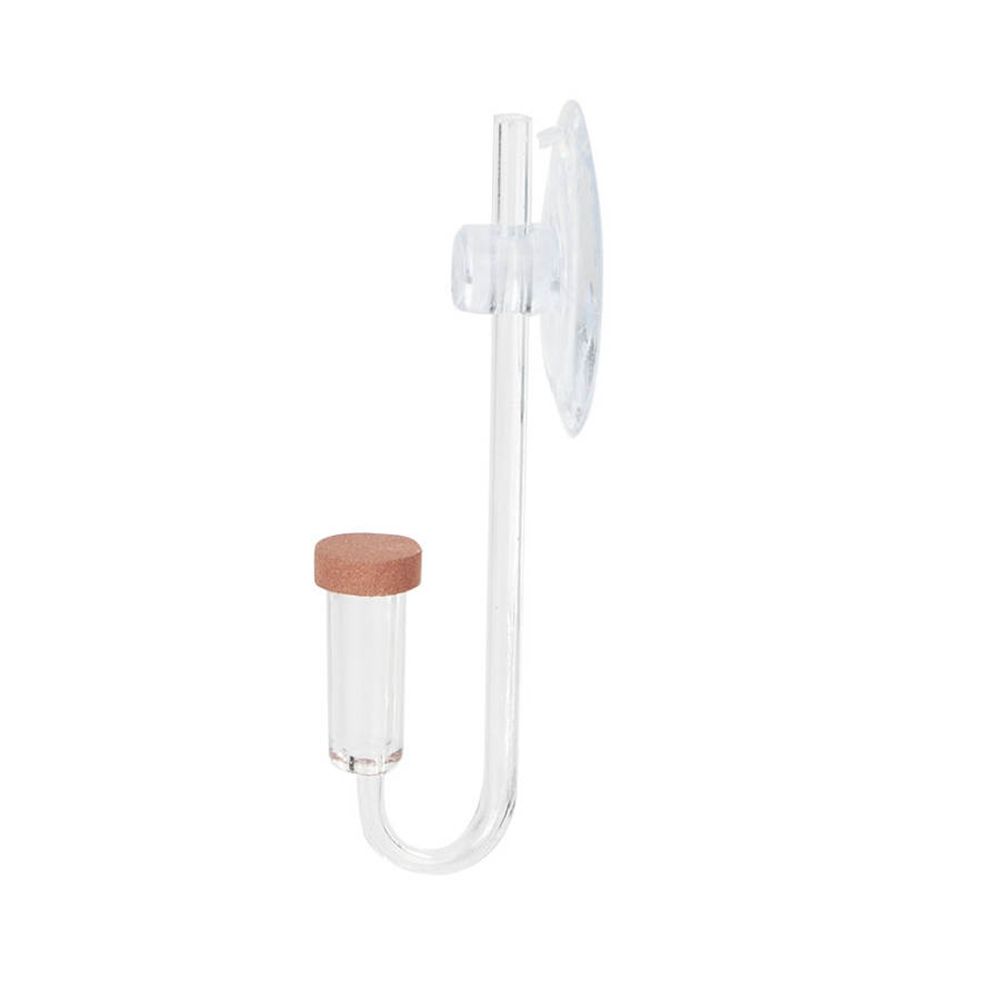 Mini pecera acrílica, planta v - Aquarium Fish Store reseña y precio