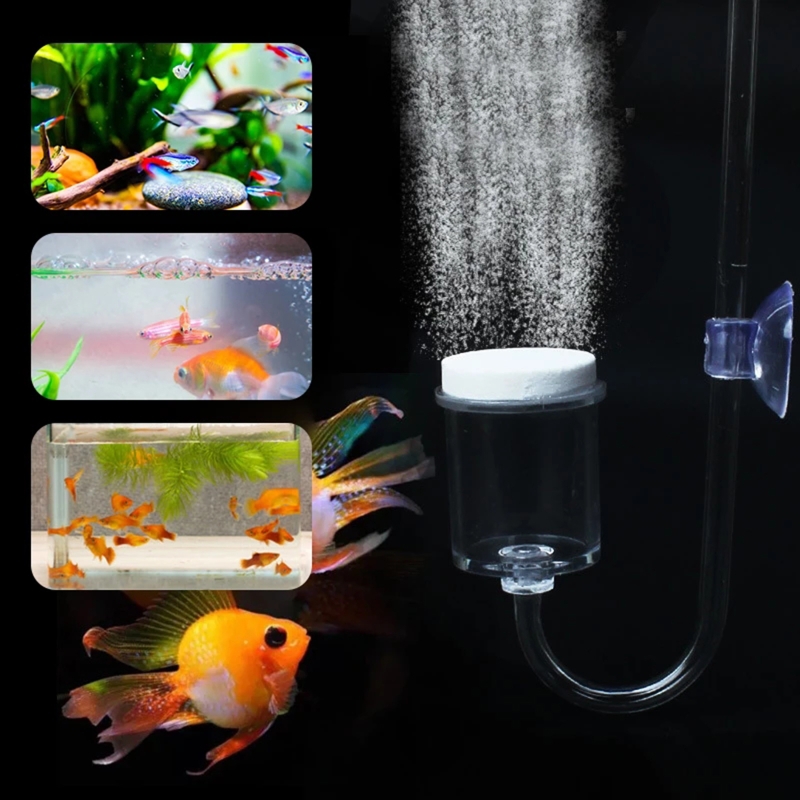 Juego de 4 piezas de difusor d - Aquarium Fish Store reseña y precio