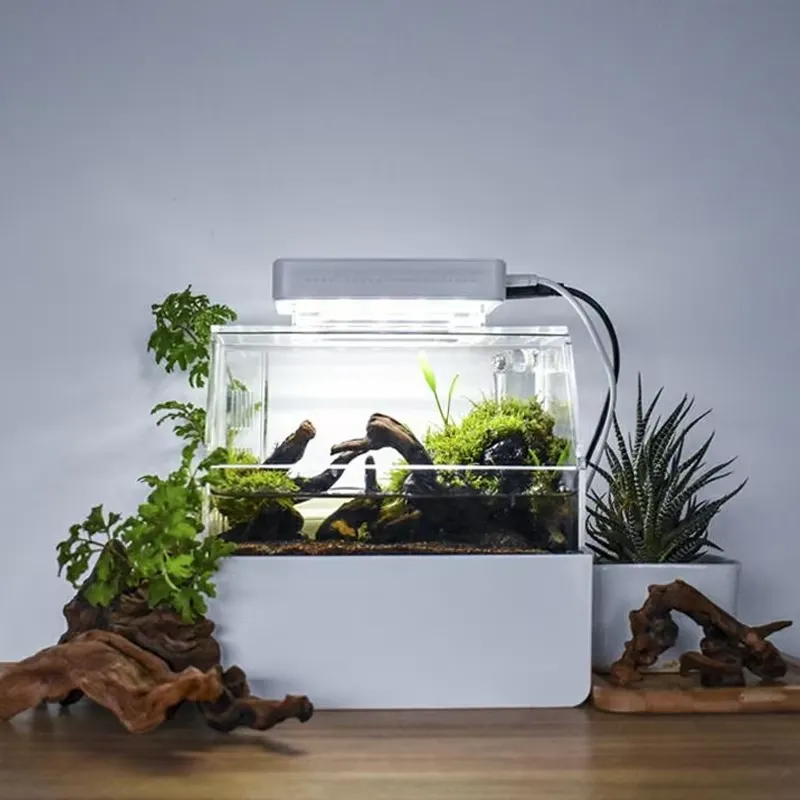 Relaxlines Acuario de Escritor - Aquarium Fish Sale reseña y precio