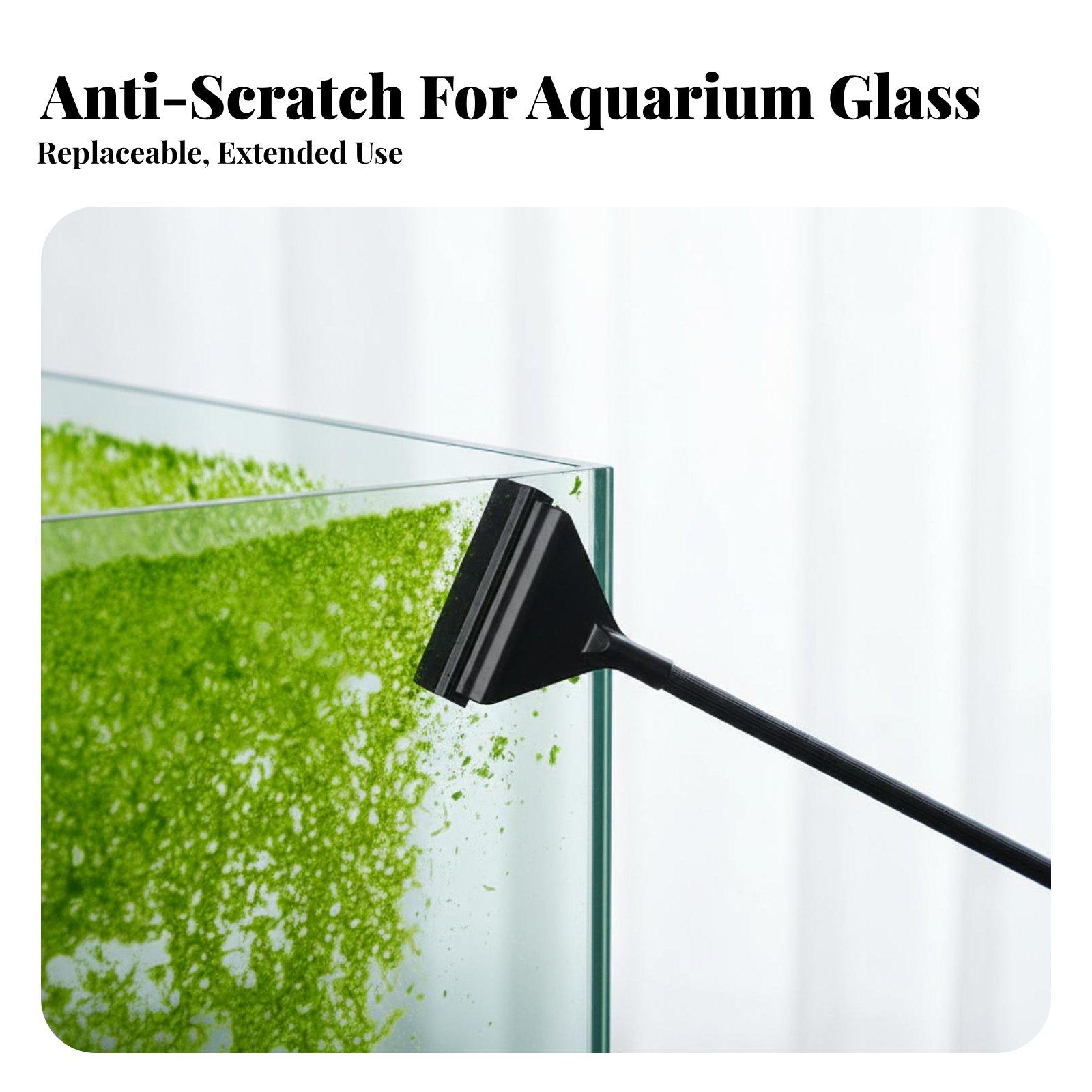 Raspador de Algas para Acuario - Algae Scraper Blade reseña y precio