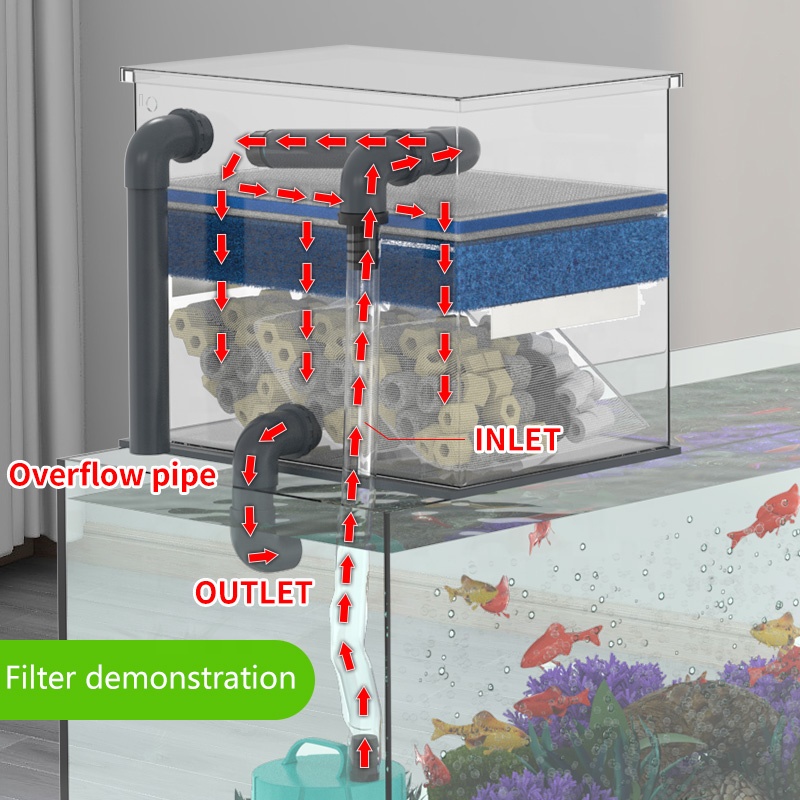 Venta directa de fábrica, filt - Aquarium Fish Sale reseña y precio