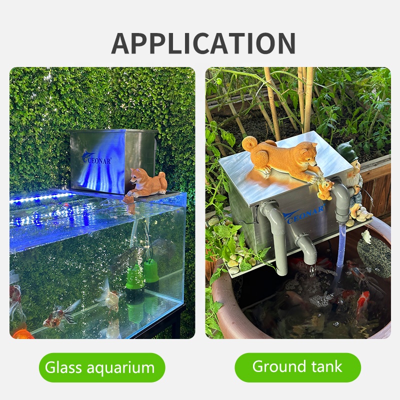 Venta directa de fábrica, filt - Aquarium Fish Sale reseña y precio